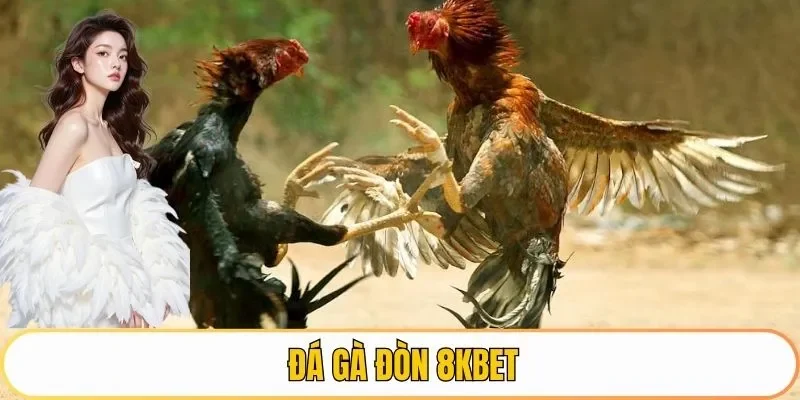 đá gà đòn