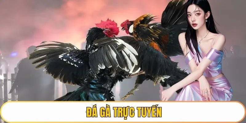 đá gà trực tuyến